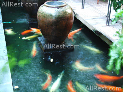 Trang Hotel Bangkok 12